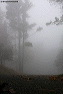dscn7259